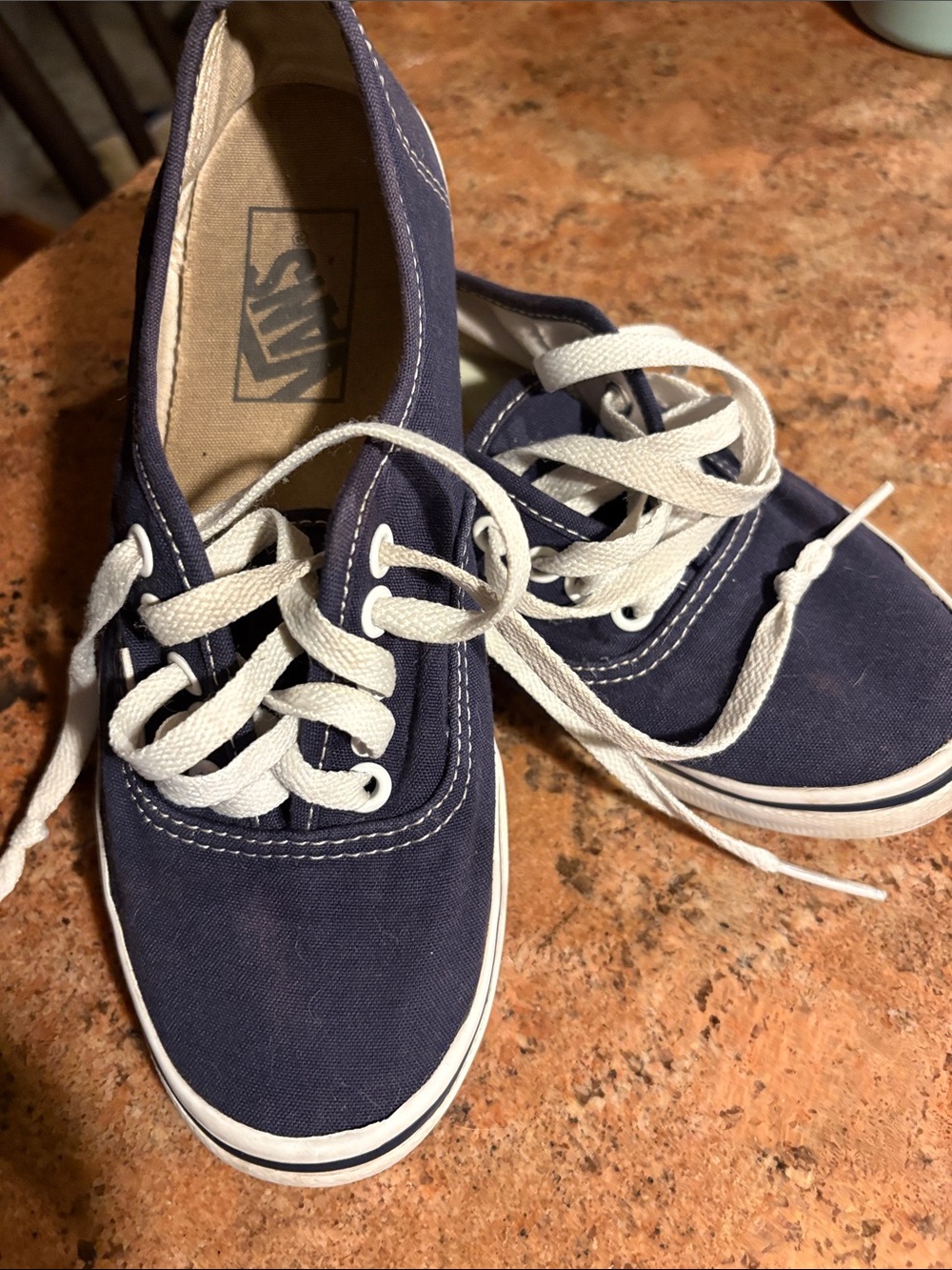 Vans Navy Canvas Low-Top Sneakers with White Laces